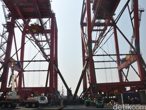 CC Baru Datang, Bongkar Muat di Terminal Domestik TPS Lebih Cepat