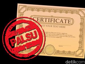 Suami Aktris Bella Shofie Diduga Daftar Cakada Buru Maluku Pakai Ijazah Palsu
