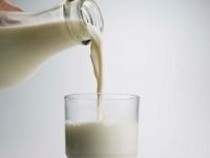 Top 5: Usulan Susu Ikan hingga Apple Rilis iPhone 16 Cs