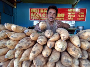 Jual Ubi Cilembu Palsu Bisa Dihukum 5 Tahun Penjara!