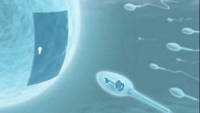 Hai Pria, Ingat 5 Hal Ini Kalau Mau Punya Sperma yang Lebih Aktif