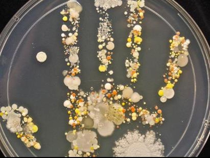 Di Tangan Ibu Ini, Cap Tangan Penuh Bakteri Bisa Jadi Gambar yang Indah