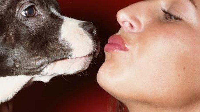 Anjing Positif COVID-19, Hong Kong Imbau Warga Tak Cium Peliharaan