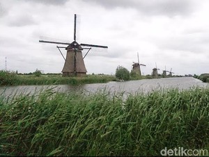 Melihat Kincir Angin, Teknologi Kuno Legendaris Pemindah Air dari Belanda