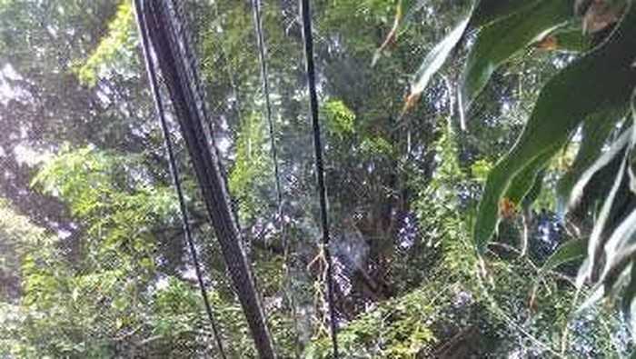 Korsleting Kabel di Cipinang Besar Utara Bikin Geger Warga