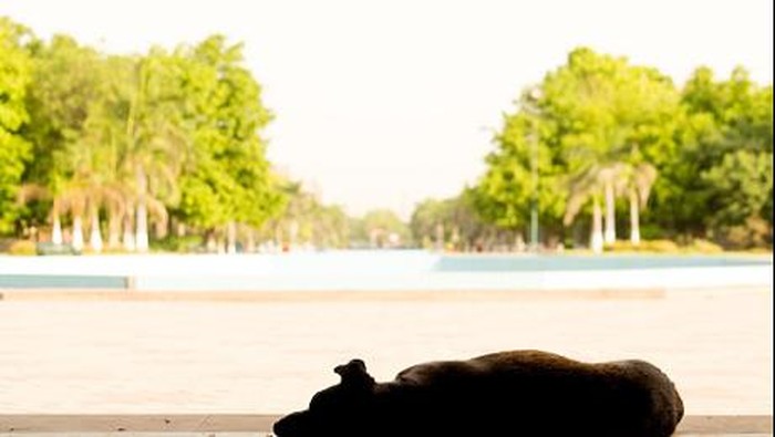 Bahaya Gelombang Panas, 120 orang di Pakistan Meninggal Kena Heatstroke