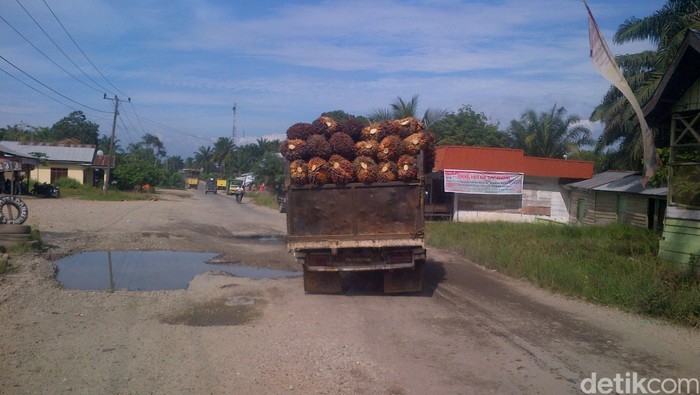 Jalan Riau-Sumatera Utara Banyak yang Rusak Parah