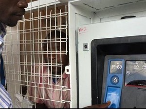 Bukan Keluarkan Uang, ATM di Kenya Ini Keluarkan Air Bersih untuk Warga