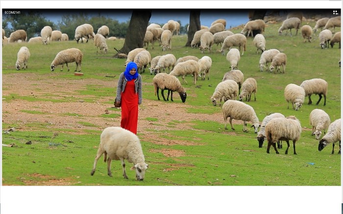 Bias Islam di Utara Yunani