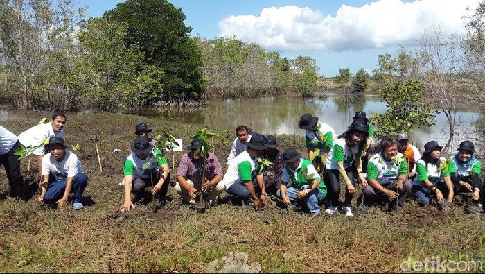 Dua Ribu Bibit Mangrove Ditanam di Pantai Wringin Putih
