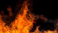 Ladang ganja yang ditemukan tim BNN-Polri di Aceh Besar dalam kondisi siap dipanen. Petugas pun menghancurkan ladang ganja seluas 7 hektare itu dengan cara dibakar agar tidak disalahgunakan. (Foto: Thinkstock)