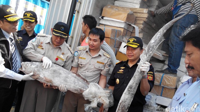 Bea Cukai Tanjung Priok Tahan 14 Kontainer Hasil Perikanan Siap Ekspor