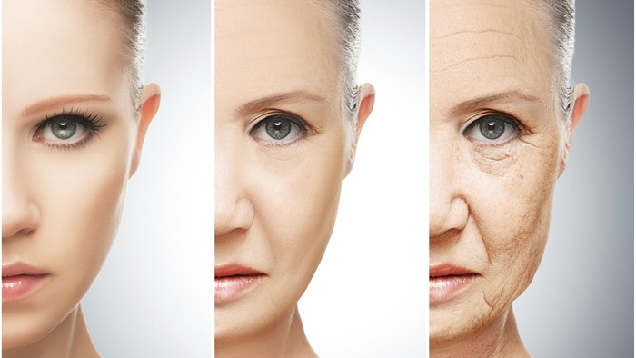 Rekayasa Sel Ini Diyakini Bisa Memperlambat Penuaan