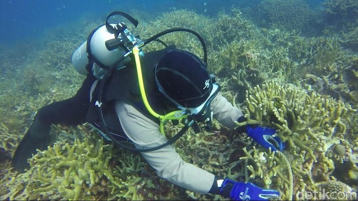 Tangkap 29 Nelayan Pencuri Ikan, Polres Pangkep olah TKP di Dasar Laut