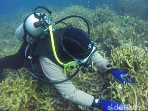 Tangkap 29 Nelayan Pencuri Ikan, Polres Pangkep olah TKP di Dasar Laut