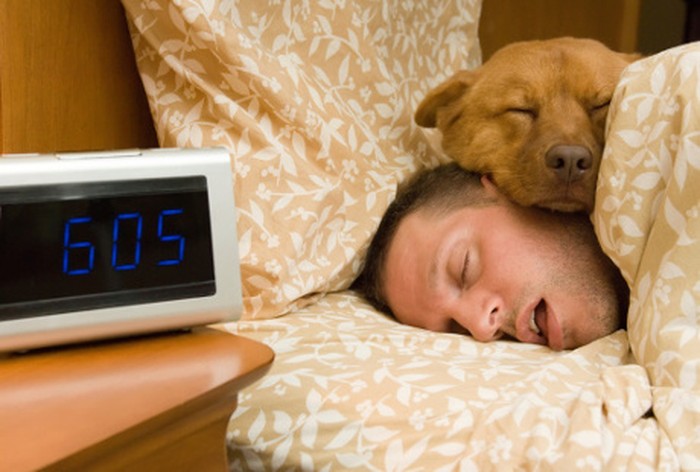 ilustrasi tidur dan insomnia
