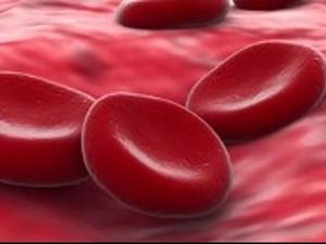 5 Cara Membersihkan Pembuluh Darah Secara Alami Tanpa Obat