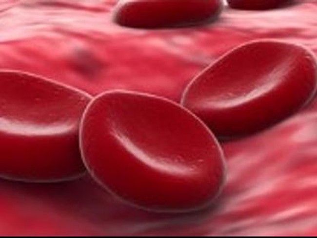 5 Cara Sederhana Perbaiki Sirkulasi Aliran Darah Tubuh