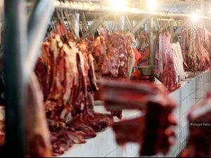 Jelang Lebaran, Harga Daging Sapi Dipatok Tak Sampai Rp 180.000/Kg