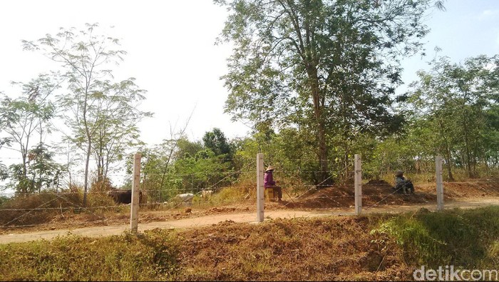 Cuma Dibatasi Kawat Berduri, Waspadai Hewan Menyeberang di Tol Cipali