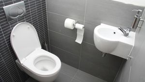 Selain Alexander Cumming, Ternyata Ini Dua Tokoh Penemu Toilet Lainnya