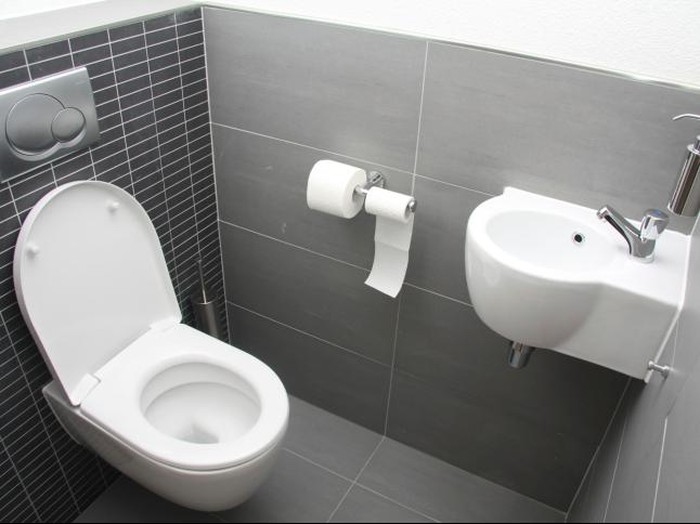 Ilustrasi toilet