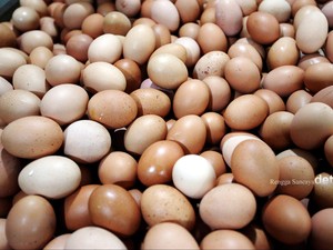Mendag Sebut Piala Dunia hingga Pilkada Bikin Harga Telur Naik