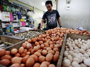 Harga Telur Naik, Kemendag: Stok Barang Ada