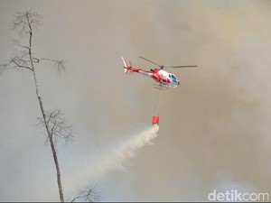 Pagi ini Terdeteksi 158 Titik Panas Kebakaran Lahan di Sumatera