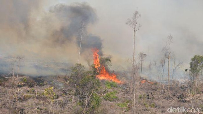 Dumai Tertutup Asap, Jarak Pandang 1.000 Meter