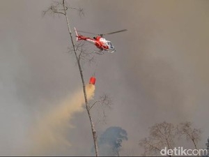Kasus Kebakaran Hutan, Kejati Riau Limpahkan Berkas Manajer PT LIH