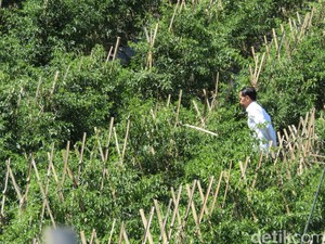 Jokowi: Pemerintah Akan Ajukan Revisi UU yang Atur JHT