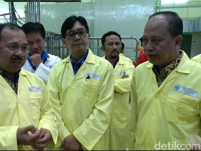 Kemristek Dikti Akan Bangun PLTN Riset Rp 1,8 T di Serpong