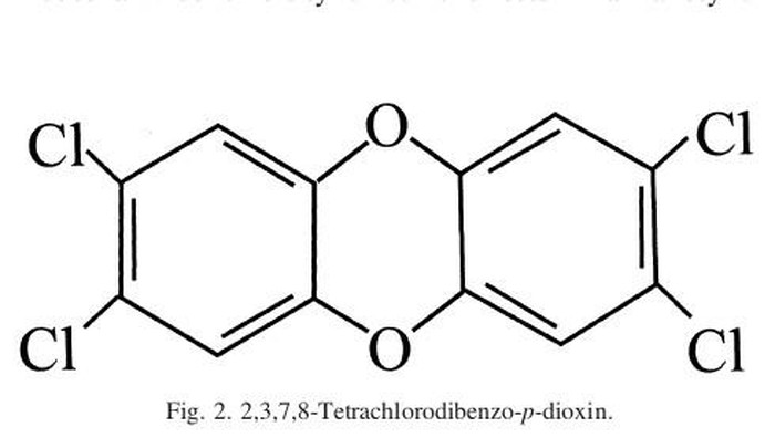 2,3,7,8-Tetrachlorodibenzo-p-dioxin (TCDD) alias Dioksin 2,3,7,8-Tetrachlorodibenzo-p-dioxin (TCDD) alias Dioksin