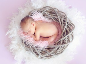 Yuk Penuhi Standar Emas Makanan Bayi Agar si Kecil Tumbuh Sehat dan Cerdas