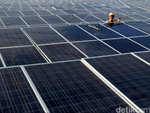 Swiss Tertarik Bangun Pabrik Panel Surya di RI