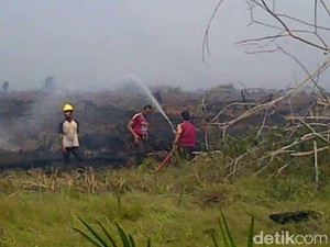 Menanti Vonis Tuntutan Rp 7,8 Triliun di Kasus Kebakaran Hutan Sumsel
