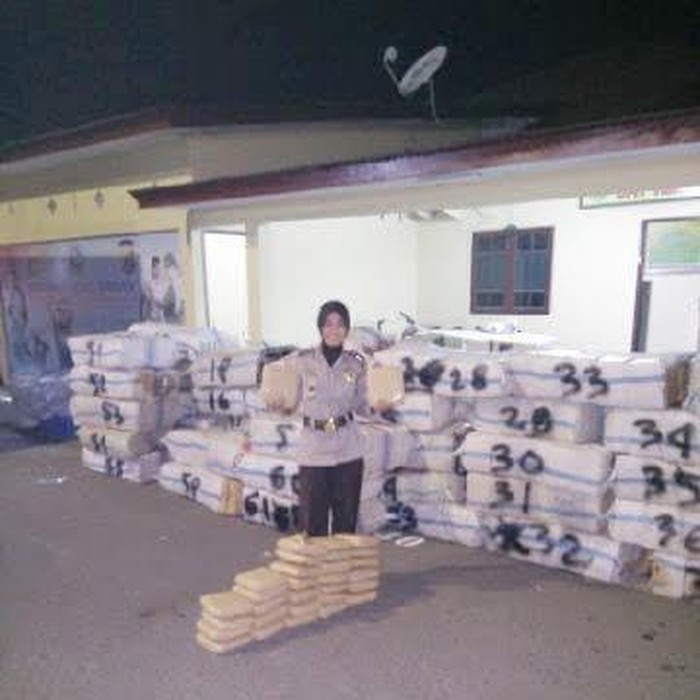 Polres Bireuen Amankan 2,5 Ton Ganja Kering Siap Edar