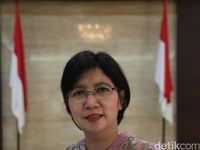 Profil Destry Damayanti, Deputi Gubernur Senior BI Terpilih