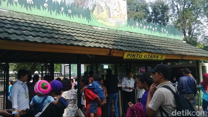 Pengunjung Membludak, Begini Suasana Libur Lebaran di Ragunan