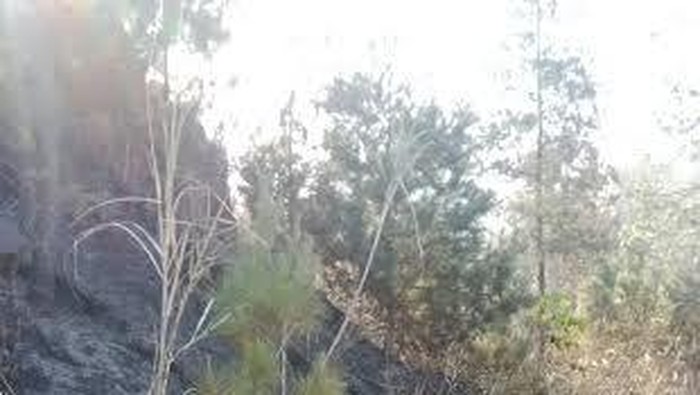 Begini Penampakan Gunung Guntur yang Sempat Terbakar