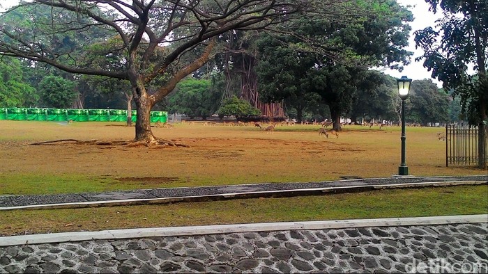 Dilanda Kemarau, Pihak Istana Bogor Optimalkan Hydrant dan Embung