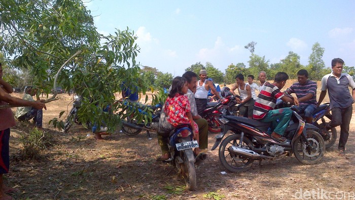Usir Gajah yang Nyasar ke Kota, Warga: Malah Kami Dikejar Balik