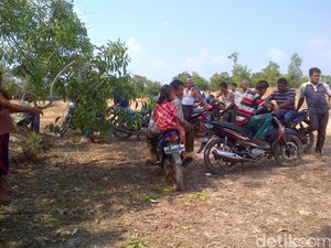 Usir Gajah yang Nyasar ke Kota, Warga: Malah Kami Dikejar Balik