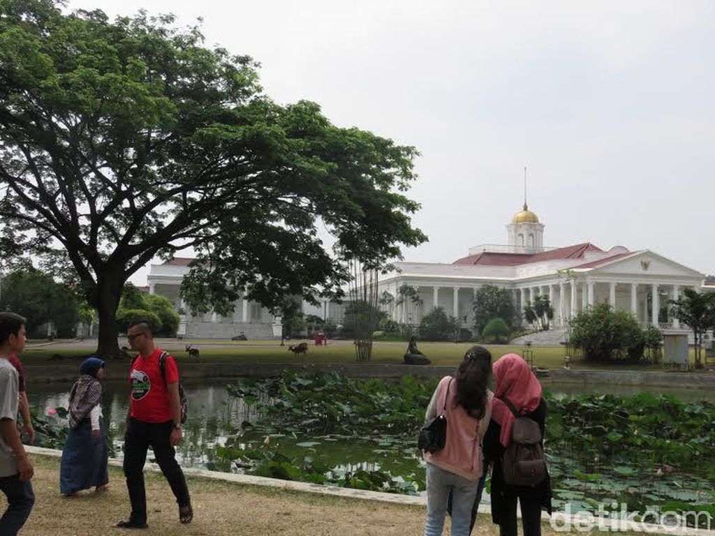 Kebun Raya Bogor, Objek Wisata Asyik dan Murah di Bogor