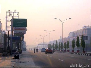 Sayembara Cegah Kebakaran Hutan di Riau, Desa Tanpa Api Diganjar Rp 100 Juta