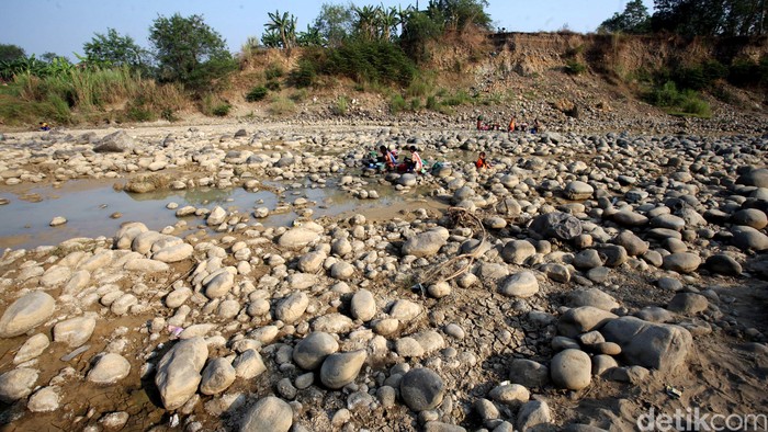 Dampak El Nino, Ini Daerah yang Sudah 2 Bulan Tak Diguyur Hujan