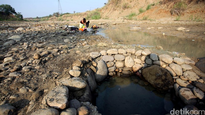 Antisipasi Kekeringan, Pemprov DKI Akan Buat Sumur Resapan di Sekolah