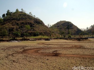 Kekeringan di Gunungkidul dan Curhat Warga soal Ternak Makan Ternak