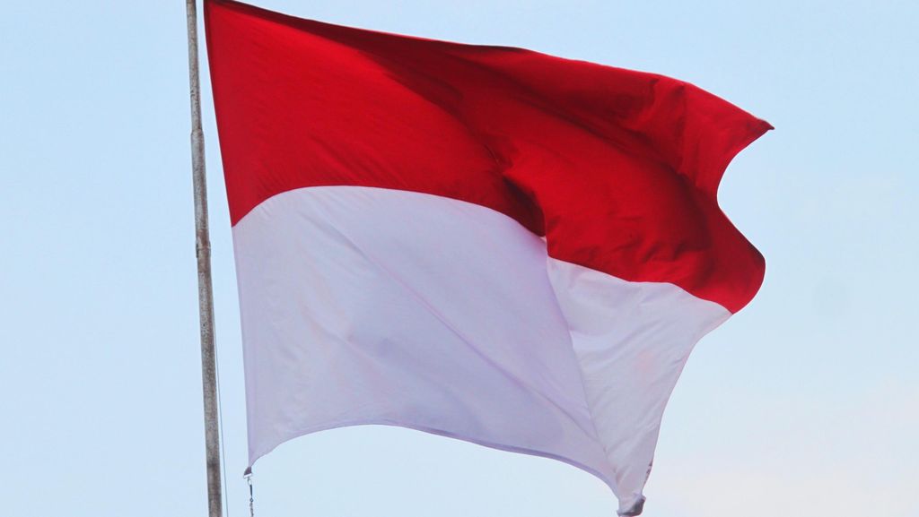 Ini Peran India dan Mesir dalam Mendukung Kemerdekaan Indonesia